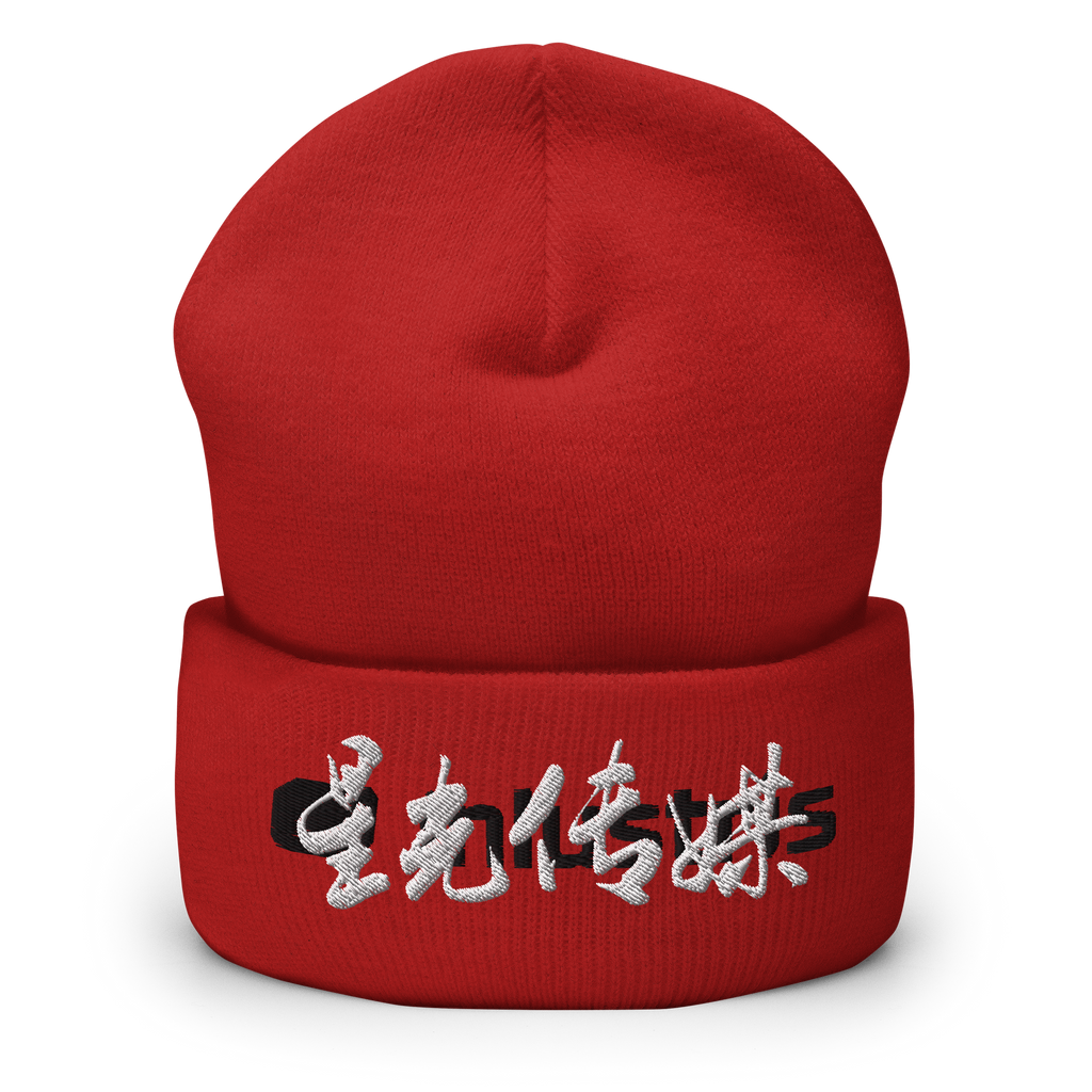 INLUSTRIS Starlight Calligraphy Logo Cuffed Beanie - 01