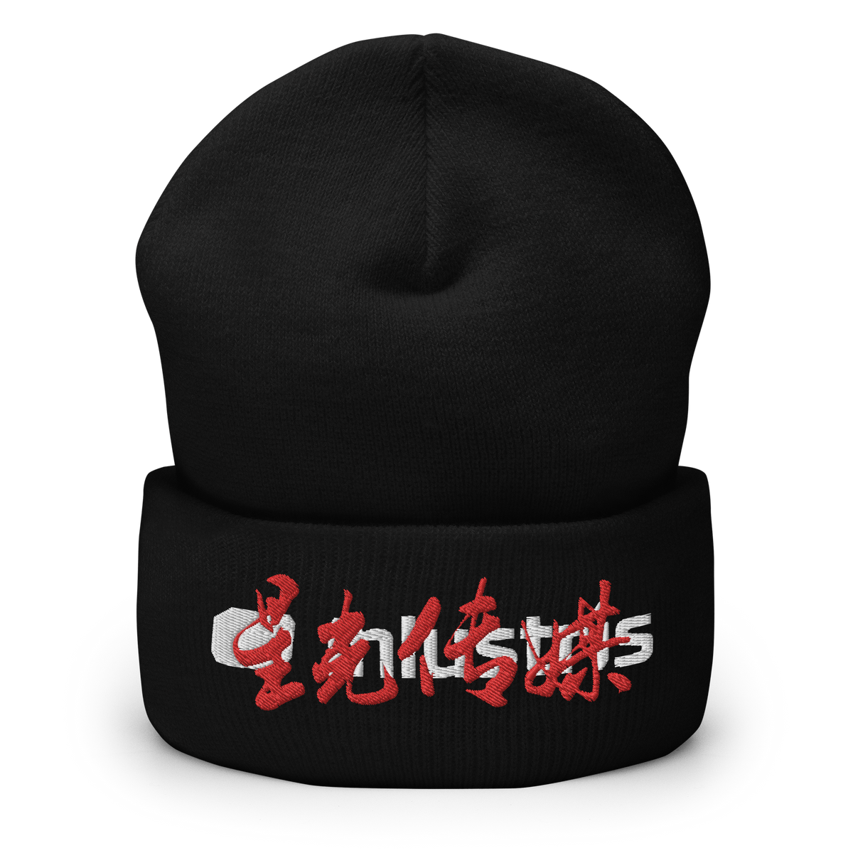 INLUSTRIS Starlight Calligraphy Logo Cuffed Beanie - 02