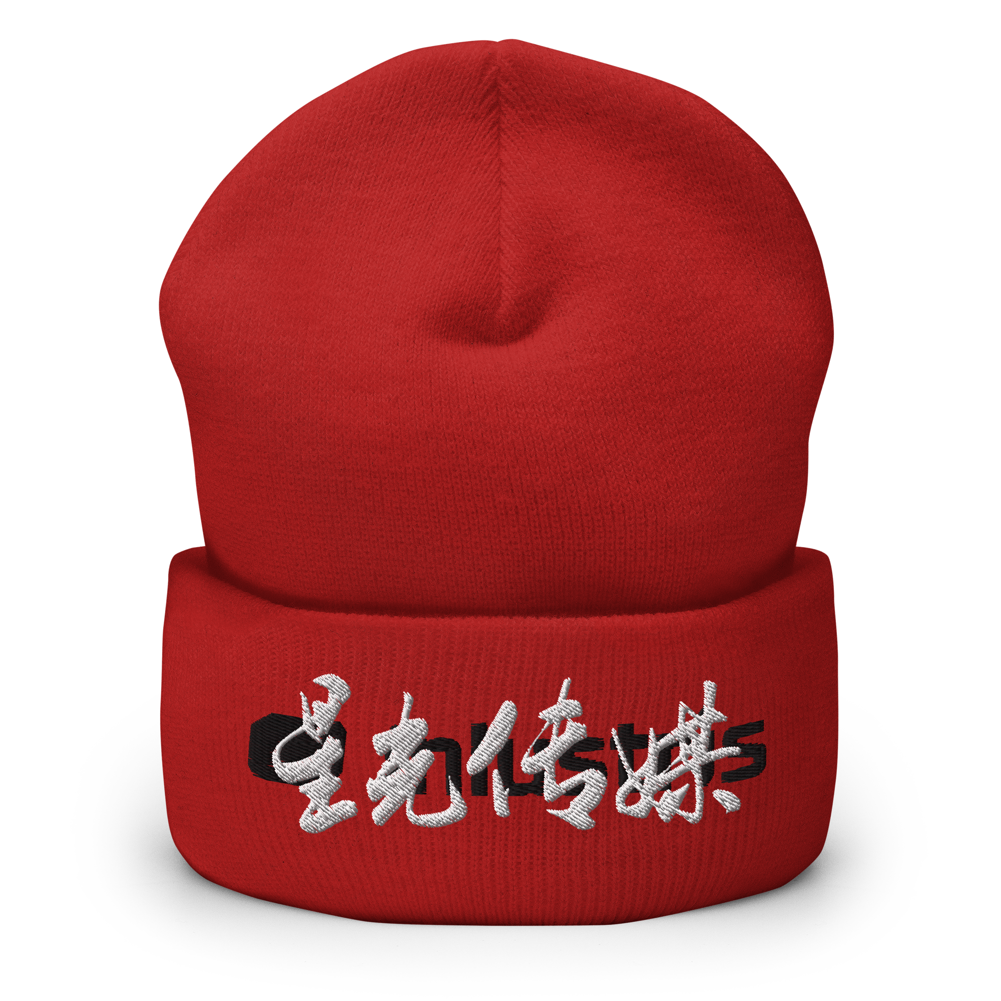 LANEUS/ラネウス　BEANIE Beanies for Men Zigongosaurus Winter Hats for Women Acrylic